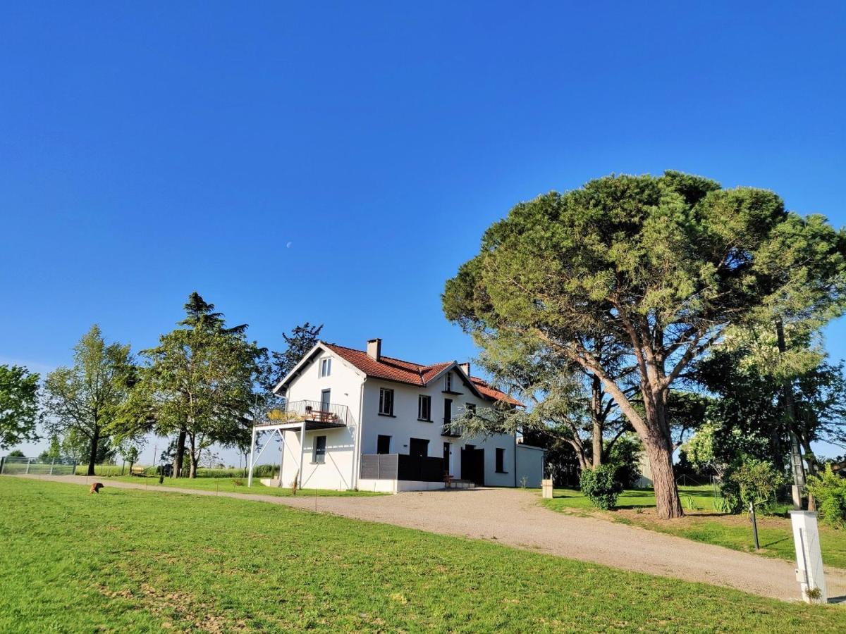 Le Cottage Nature Primeur Sauna Gaillac Entre Albi-Toulouse & Les Cottages Du Tarn Brens  Exterior photo